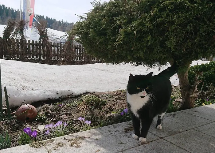 Grand Prázdninový dům